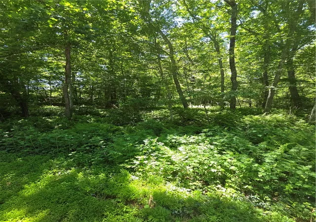 Homes for sale in Hopkinton, RI | 85 Diamond Hill Rd, Hopkinton, RI 02833 | MLS# 1414834