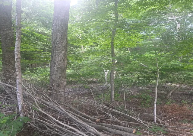 Photo 16 of Land for sale at 0 Meeting St, Coventry, RI 02816 | MLS# 1415335 | Listing updated on 2026-08-05