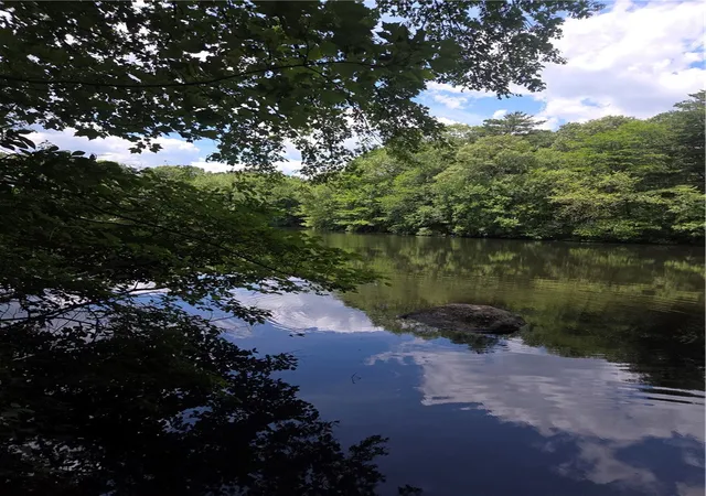Photo 1 of Land for sale at 0 Meeting St, Coventry, RI 02816 | MLS# 1415335 | Listing updated on 2026-08-05