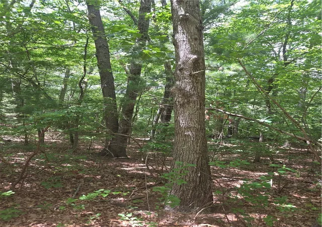 Photo 3 of Land for sale at 0 Meeting St, Coventry, RI 02816 | MLS# 1415335 | Listing updated on 2026-08-05
