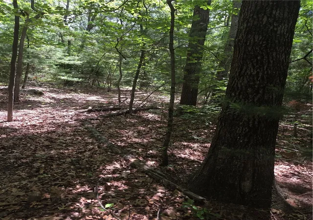 Photo 4 of Land for sale at 0 Meeting St, Coventry, RI 02816 | MLS# 1415335 | Listing updated on 2026-08-05