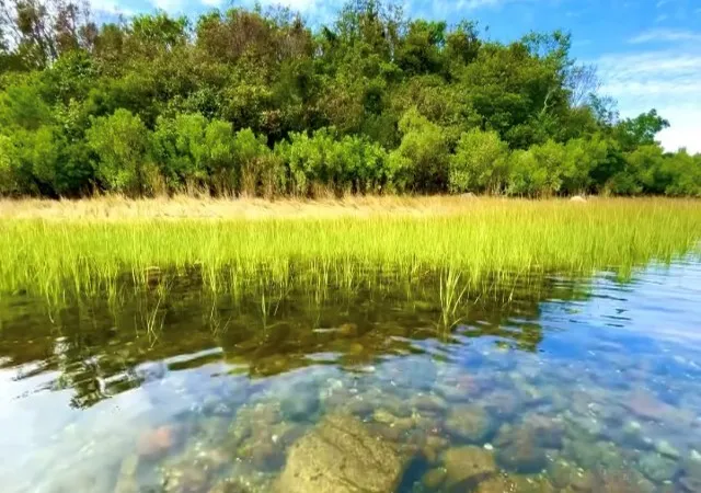 28th image of 907 Coast Guard Rd, Block Island, RI 02807 | MLS# 1416350