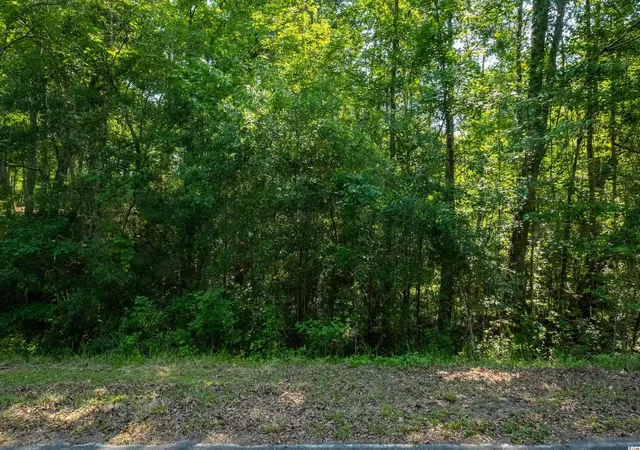 Photo 2 of Land for sale at Tbd Francis Marion Dr, Georgetown, SC 29440 | MLS# 2211928 | Listing updated on 2026-08-19