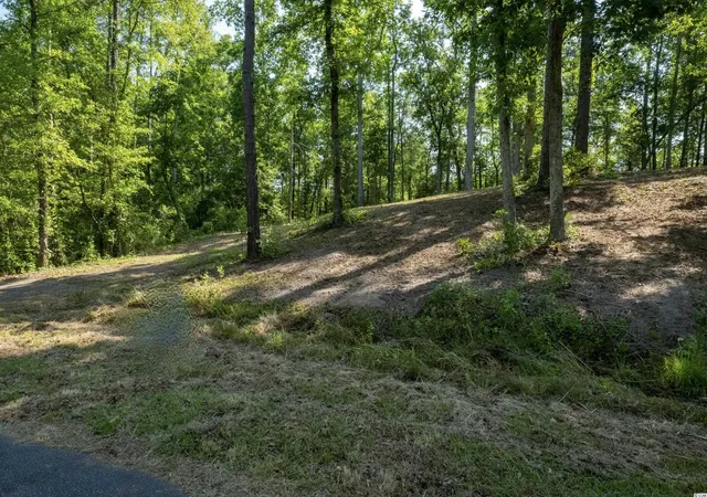 Photo 3 of Land for sale at Tbd Francis Marion Dr, Georgetown, SC 29440 | MLS# 2211928 | Listing updated on 2026-08-19