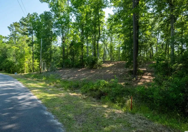 Photo 3 of Land for sale at Tbd Francis Marion Dr, Georgetown, SC 29440 | MLS# 2211928 | Listing updated on 2026-08-19
