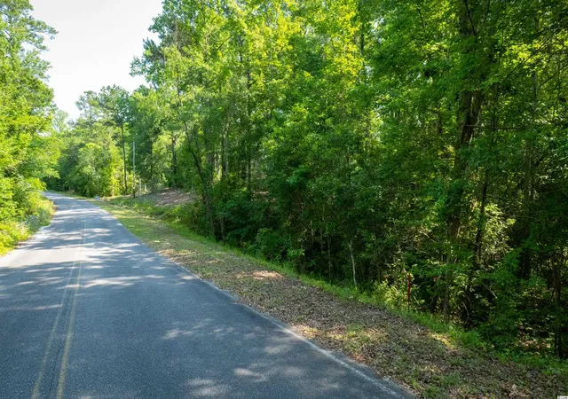 Photo 4 of Land for sale at Tbd Francis Marion Dr, Georgetown, SC 29440 | MLS# 2211928 | Listing updated on 2026-08-19