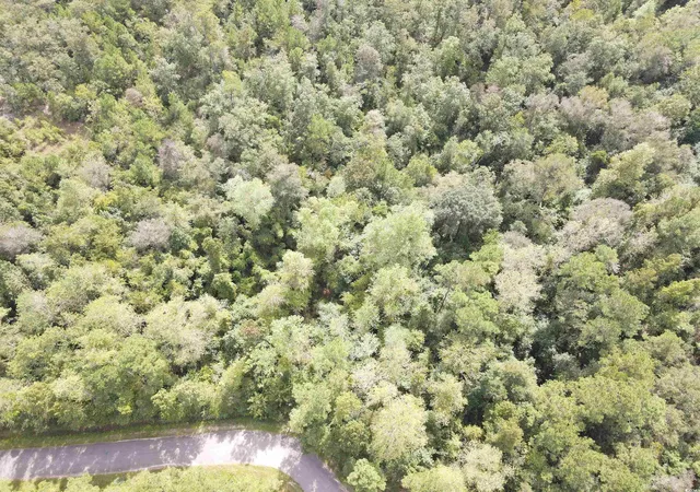 Homes for sale in Loris, SC | Lot 6 Rainbow Dr, Loris, SC 29569 | MLS# 2224815