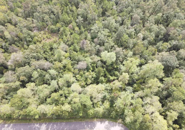 Homes for sale in Loris, SC | Lot 6 Rainbow Dr, Loris, SC 29569 | MLS# 2224815
