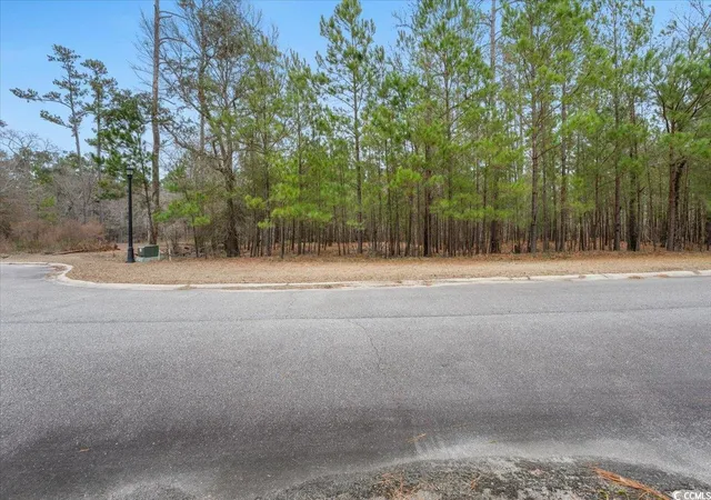 Photo 3 of Land for sale at 305 Cypress Flat Ct, Conway, SC 29526 | MLS# 2301721 | Listing updated on 2026-07-21