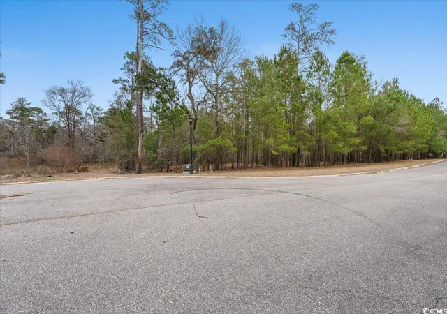 Photo 3 of Land for sale at 305 Cypress Flat Ct, Conway, SC 29526 | MLS# 2301721 | Listing updated on 2026-07-21