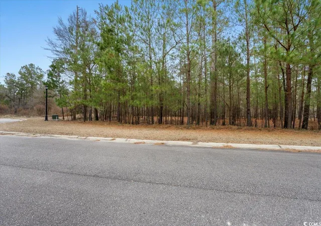 Photo 4 of Land for sale at 305 Cypress Flat Ct, Conway, SC 29526 | MLS# 2301721 | Listing updated on 2026-07-21