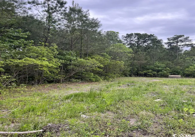 Photo 3 of Land for sale at Tbd Betts Rd, Murrells Inlet, SC 29576 | MLS# 2307683 | Listing updated on 2026-08-19