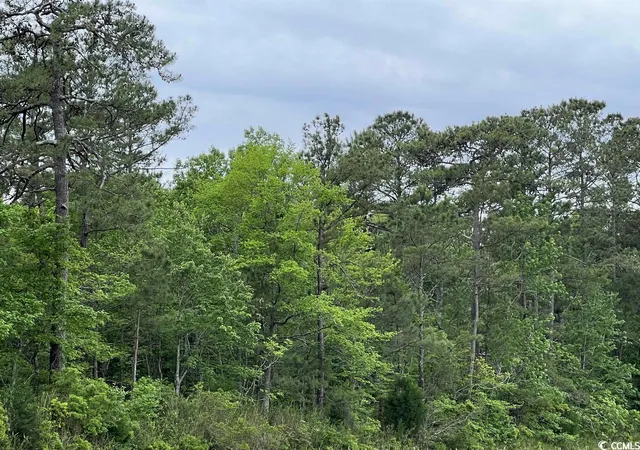 Photo 3 of Land for sale at Tbd Betts Rd, Murrells Inlet, SC 29576 | MLS# 2307683 | Listing updated on 2026-08-19