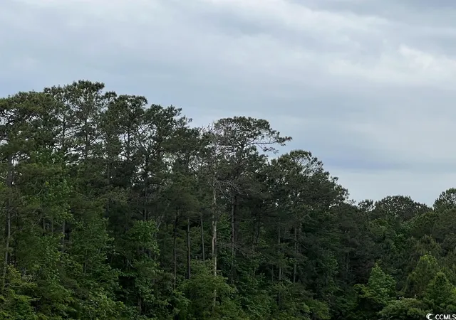 Photo 4 of Land for sale at Tbd Betts Rd, Murrells Inlet, SC 29576 | MLS# 2307683 | Listing updated on 2026-08-19