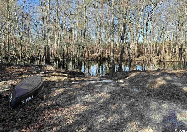 3rd image of 821 Lake City Hwy, Johnsonville, SC 29555 | MLS# 2313515