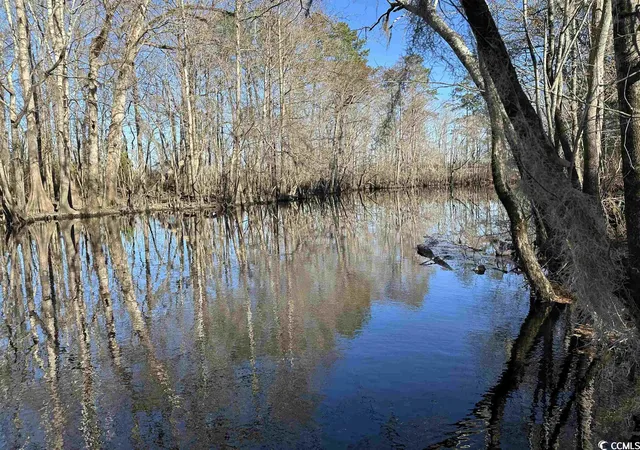 4th image of 821 Lake City Hwy, Johnsonville, SC 29555 | MLS# 2313515