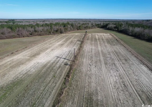 5th image of 821 Lake City Hwy, Johnsonville, SC 29555 | MLS# 2313515