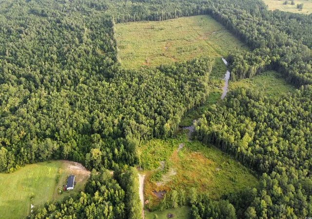 Photo 1 of Land for sale at Tbd Oak Log Lake Rd, Conway, SC 29526 | MLS# 2314016 | Listing updated on 2026-01-07