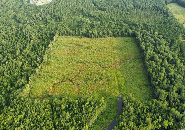 Photo 2 of Land for sale at Tbd Oak Log Lake Rd, Conway, SC 29526 | MLS# 2314016 | Listing updated on 2026-01-07