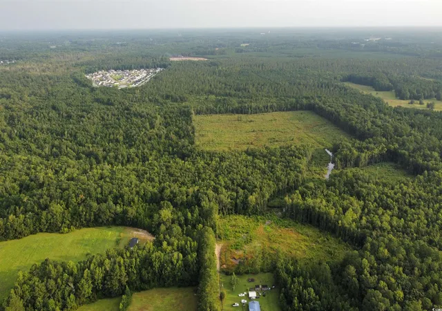 Photo 3 of Land for sale at Tbd Oak Log Lake Rd, Conway, SC 29526 | MLS# 2314016 | Listing updated on 2026-01-07