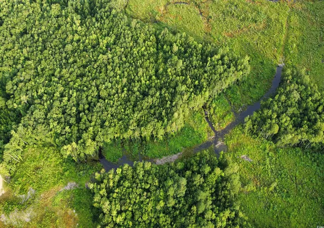 Photo 3 of Land for sale at Tbd Oak Log Lake Rd, Conway, SC 29526 | MLS# 2314016 | Listing updated on 2026-01-07