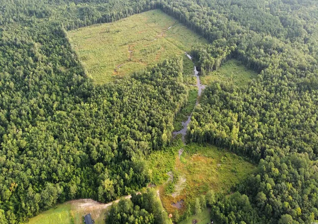 Photo 4 of Land for sale at Tbd Oak Log Lake Rd, Conway, SC 29526 | MLS# 2314016 | Listing updated on 2026-01-07