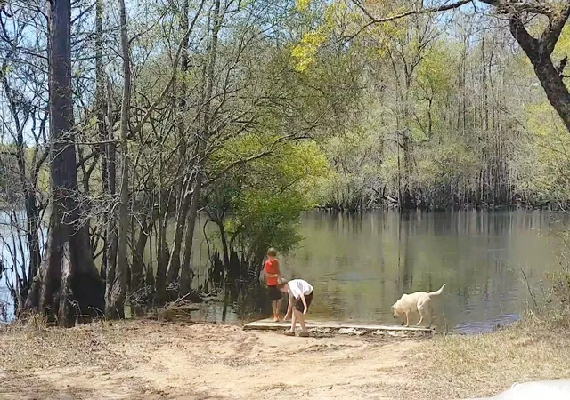 Photo 3 of Land for sale at Tbd Black Island Rd, Galivants Ferry, SC 29544 | MLS# 2314467 | Listing updated on 2025-12-26