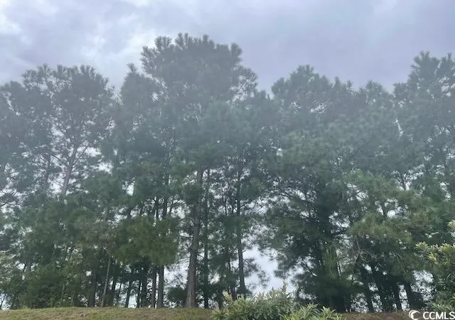 1st image of Tbd Della Rd, Longs, SC 29568 | MLS# 2320710