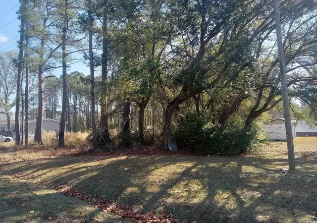 Photo 10 of Land for sale at Tbd4 Kickapoo Dr, Green Sea, SC 29545 | MLS# 2323515 | Listing updated on 2026-07-31