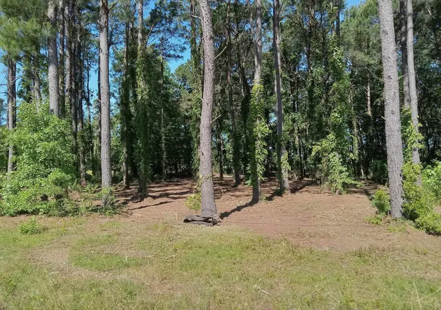 Photo 1 of Land for sale at Tbd4 Kickapoo Dr, Green Sea, SC 29545 | MLS# 2323515 | Listing updated on 2026-07-31