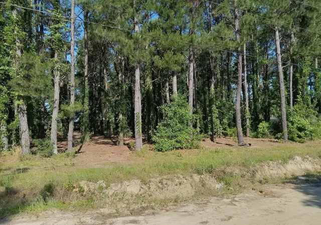 Photo 2 of Land for sale at Tbd4 Kickapoo Dr, Green Sea, SC 29545 | MLS# 2323515 | Listing updated on 2026-07-31