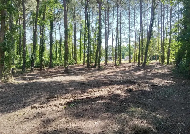 Photo 4 of Land for sale at Tbd4 Kickapoo Dr, Green Sea, SC 29545 | MLS# 2323515 | Listing updated on 2026-07-31