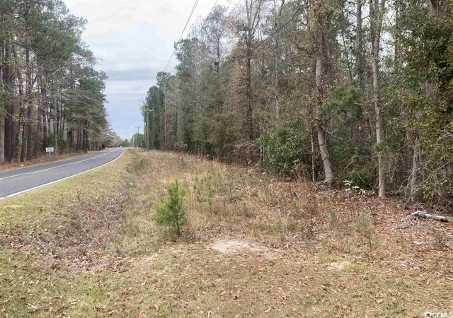 Photo 3 of Land for sale at Tbd Persimmon Ford Rd, Johnsonville, SC 29555 | MLS# 2324422 | Listing updated on 2025-12-03