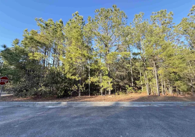Homes for sale in Georgetown, SC | 153 Bridge View Rd, Georgetown, SC 29440 | MLS# 2403748