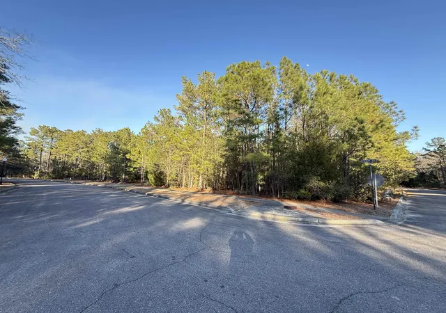 Homes for sale in Georgetown, SC | 153 Bridge View Rd, Georgetown, SC 29440 | MLS# 2403748