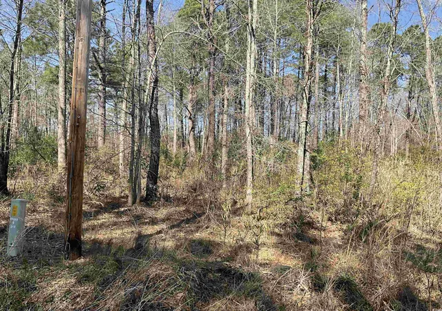 Homes for sale in Kingstree, SC | Tbd Florence Ln, Kingstree, SC 29556 | MLS# 2406167