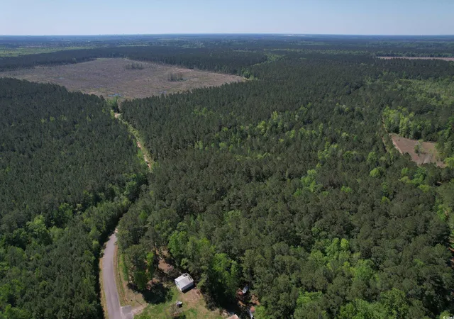 Photo 11 of Land for sale at Tbd Cain Wilson Rd, Conway, SC 29526 | MLS# 2409355 | Listing updated on 2025-10-13