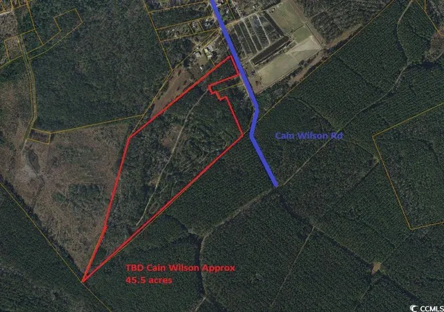 Photo 1 of Land for sale at Tbd Cain Wilson Rd, Conway, SC 29526 | MLS# 2409355 | Listing updated on 2025-10-13
