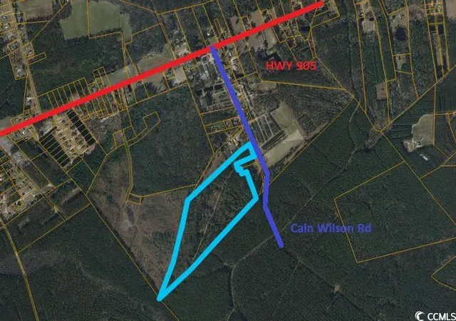 Photo 2 of Land for sale at Tbd Cain Wilson Rd, Conway, SC 29526 | MLS# 2409355 | Listing updated on 2025-10-13