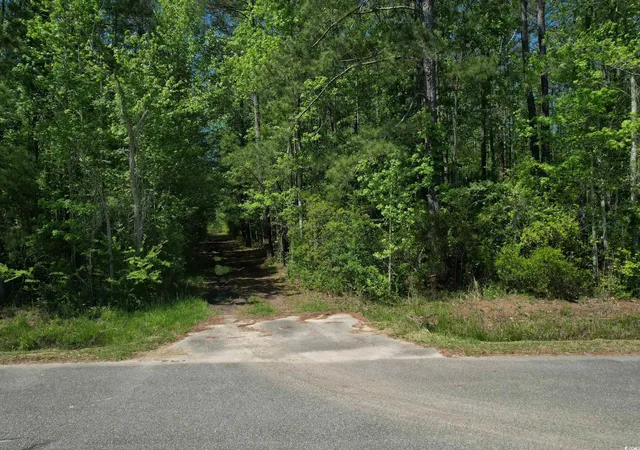 Photo 3 of Land for sale at Tbd Cain Wilson Rd, Conway, SC 29526 | MLS# 2409355 | Listing updated on 2025-10-13