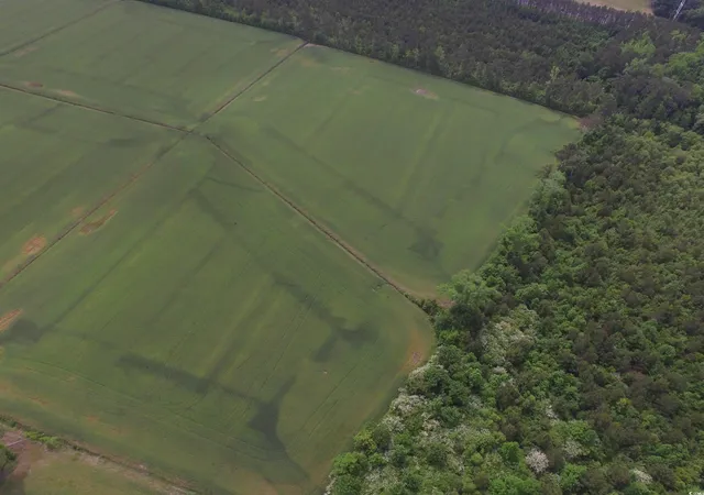 Photo 5 of Land for sale at Tbd Fowler Rd, Conway, SC 29526 | MLS# 2410536 | Listing updated on 2025-10-24