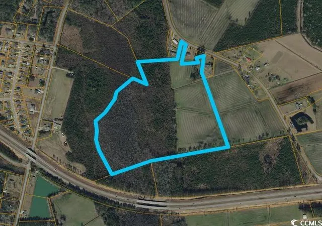 Photo 8 of Land for sale at Tbd Fowler Rd, Conway, SC 29526 | MLS# 2410536 | Listing updated on 2025-10-24