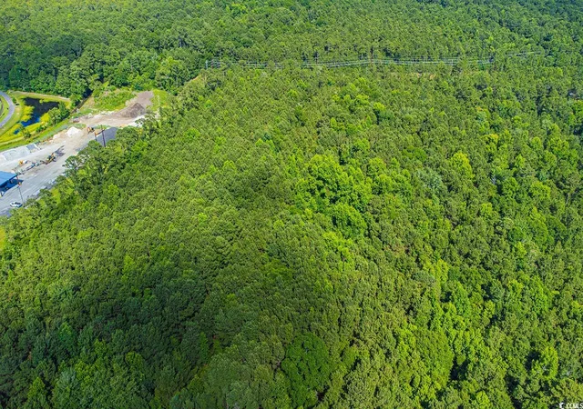 Photo 4 of Land for sale at Tbd Scipio Ln, Myrtle Beach, SC 29588 | MLS# 2413689 | Listing updated on 2026-09-22