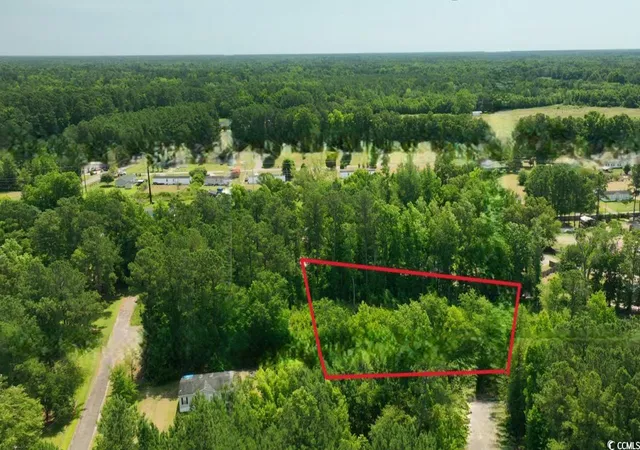Homes for sale in Kingstree, SC | (Undisclosed), Kingstree, SC 29556 | MLS# 2417015