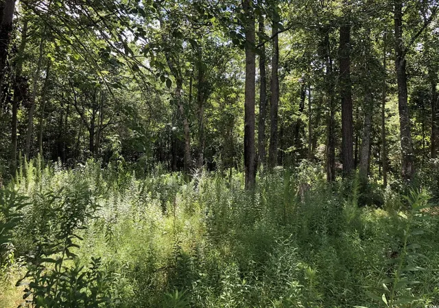 Homes for sale in Loris, SC | 6135 Lot 2 Red Bluff Rd, Loris, SC 29569 | MLS# 2417017