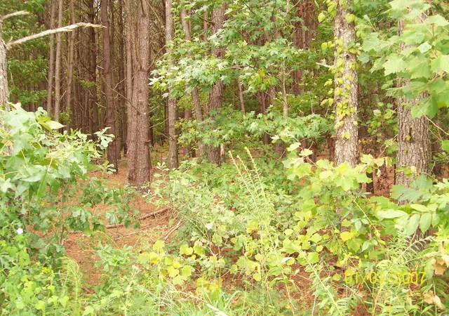 Homes for sale in Loris, SC | Lot 2 Riverbend Rd, Loris, SC 29569 | MLS# 2420924