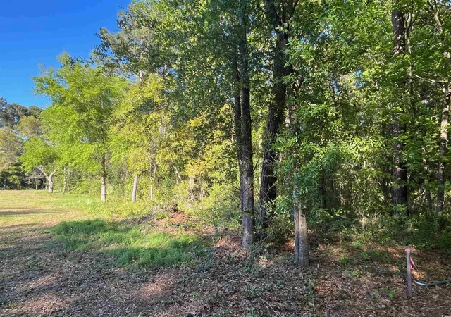 2nd image of 135 Ben Horry Trail, Pawleys Island, SC 29585 | MLS# 2427620