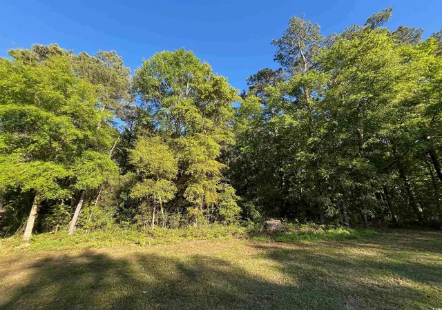 Photo 3 of Land for sale at 135 Ben Horry Trail, Pawleys Island, SC 29585 | MLS# 2427620 | Listing updated on 2026-07-30