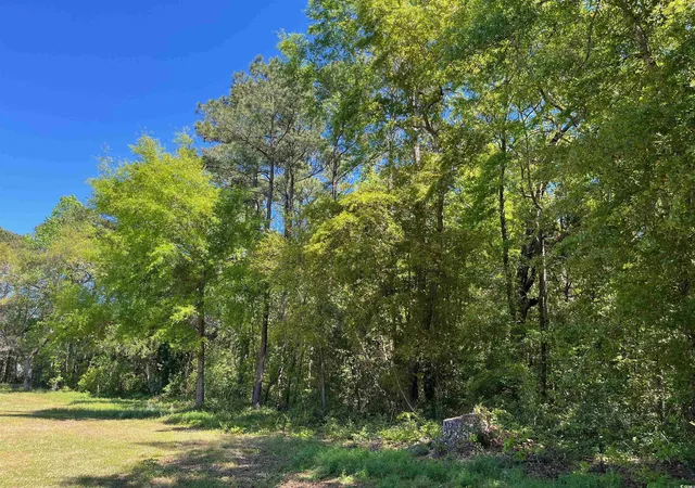 Photo 3 of Land for sale at 135 Ben Horry Trail, Pawleys Island, SC 29585 | MLS# 2427620 | Listing updated on 2026-07-30