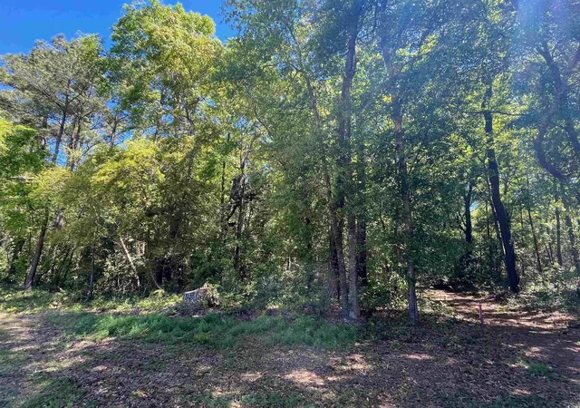 Photo 4 of Land for sale at 135 Ben Horry Trail, Pawleys Island, SC 29585 | MLS# 2427620 | Listing updated on 2026-07-30